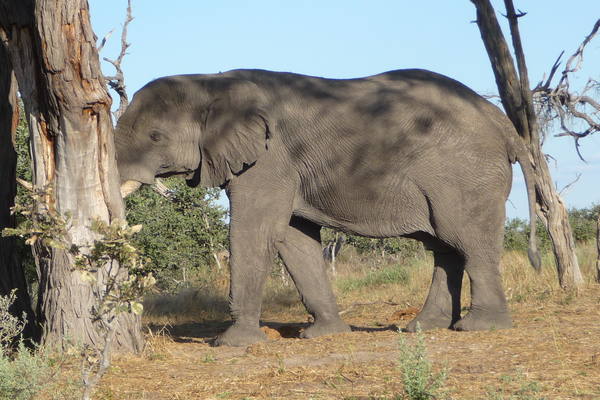 gallery_buildings_one