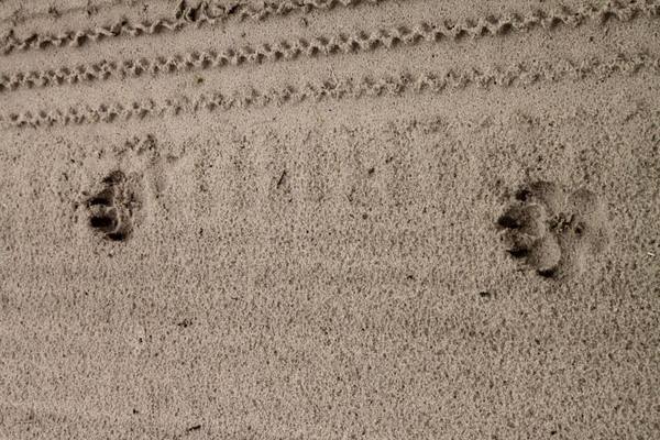 gallery_buildings_five